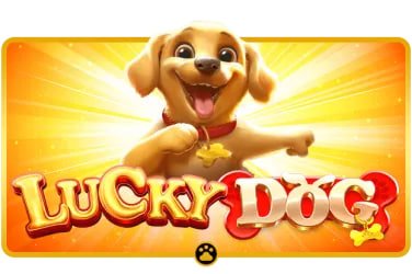 gm ls1 ak